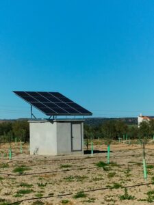energía de paneles solares para alimentar bombas de agua en el regadío