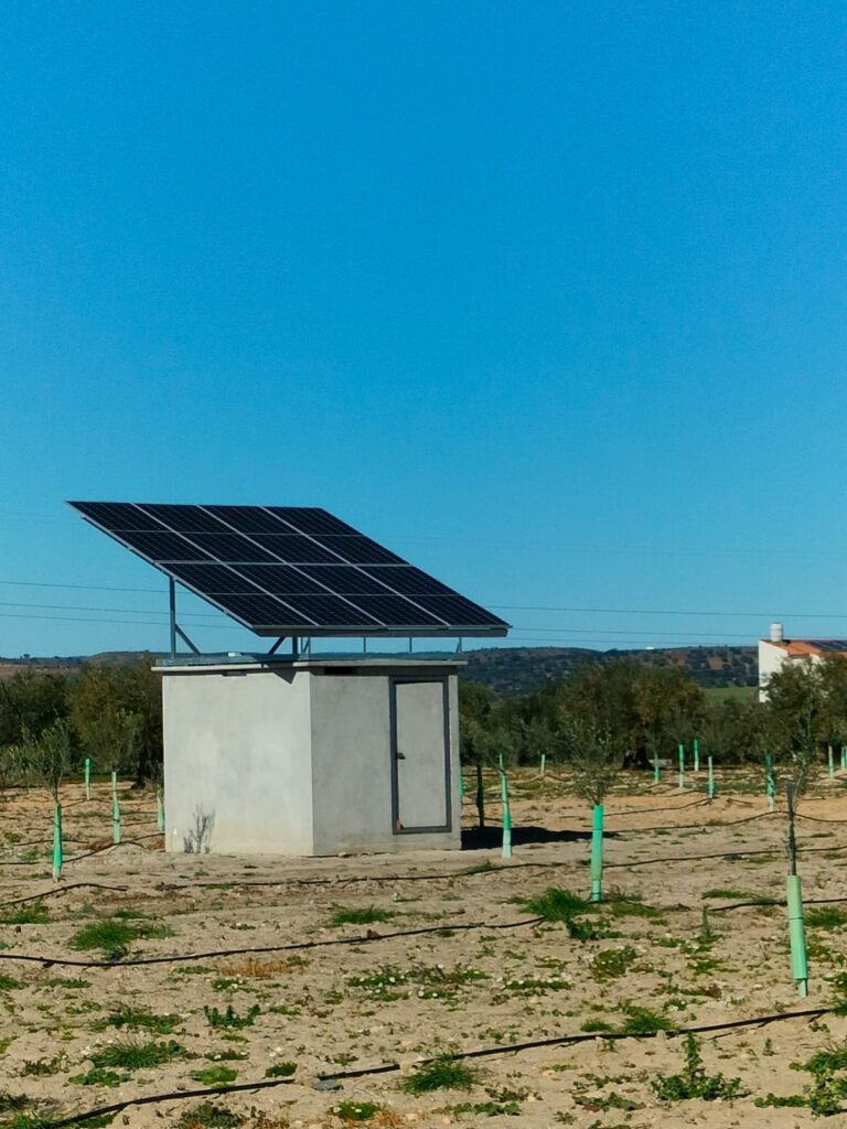 energía de paneles solares para alimentar bombas de agua en el regadío