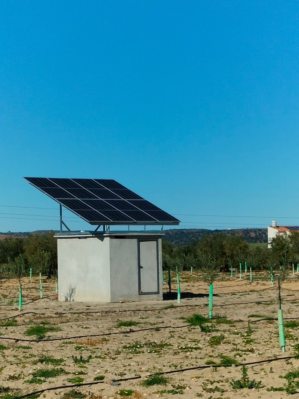 energía de paneles solares para alimentar bombas de agua en el regadío
